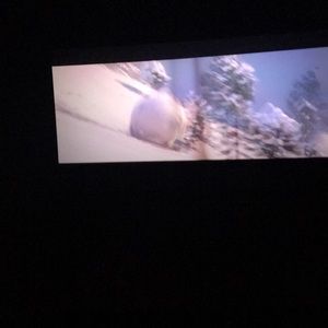 Meet your Posher, Shaun